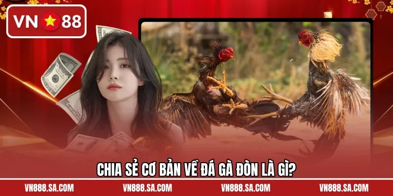 Chia sẻ cơ bản về đá gà đòn là gì