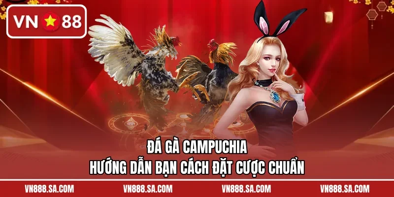 Đá Gà Campuchia – Hướng Dẫn Bạn Cách Đặt Cược Chuẩn 