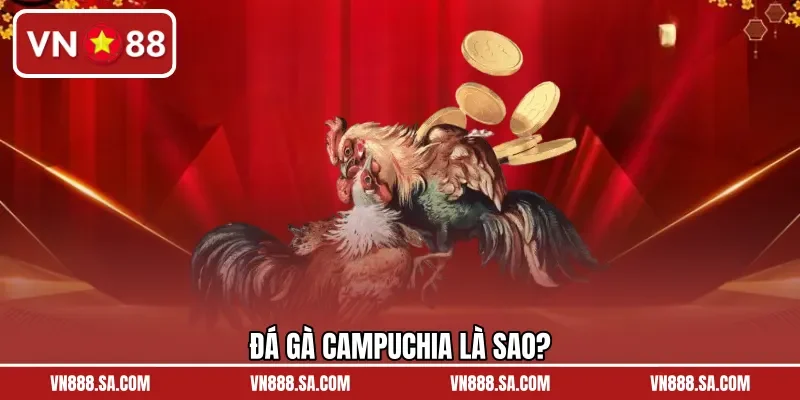 Đá gà Campuchia là sao?