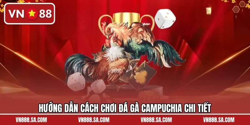 Hướng dẫn cách chơi đá gà Campuchia chi tiết