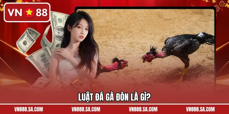 Luật đá gà đòn là gì?