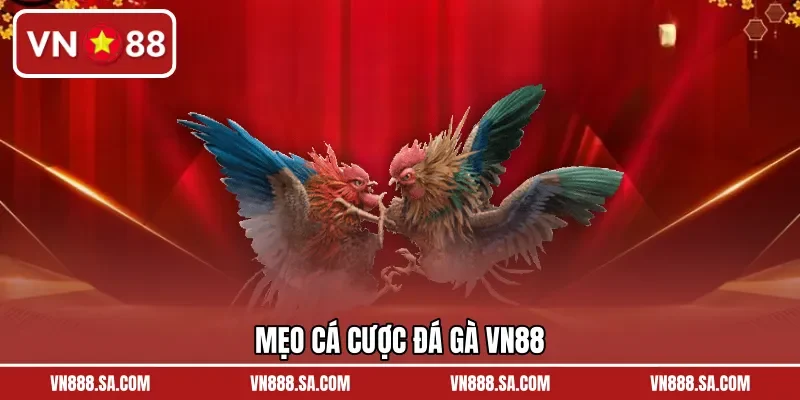 Mẹo cá cược đá gà VN88