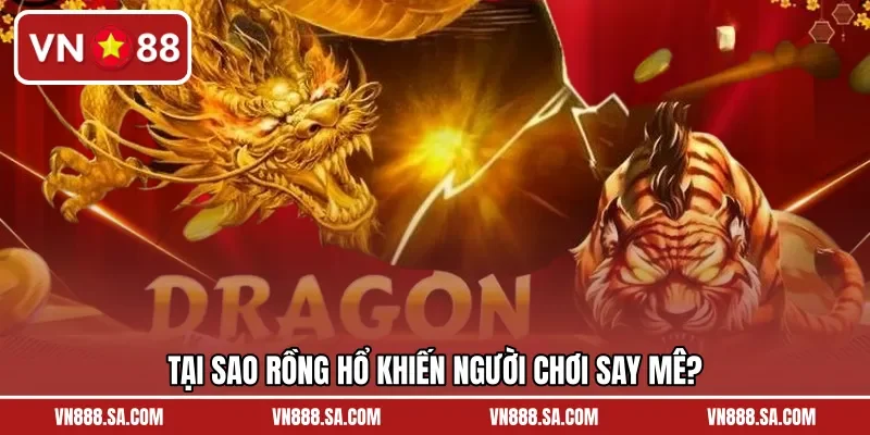 Tại sao Rồng Hổ khiến người chơi say mê?