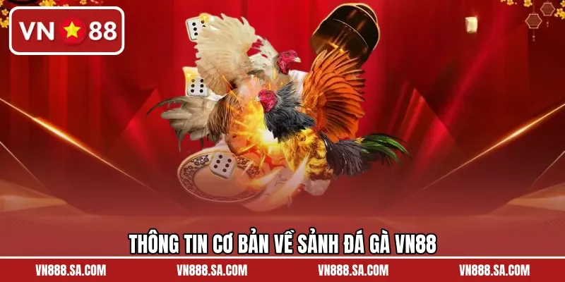 Thông tin cơ bản về sảnh đá gà VN88